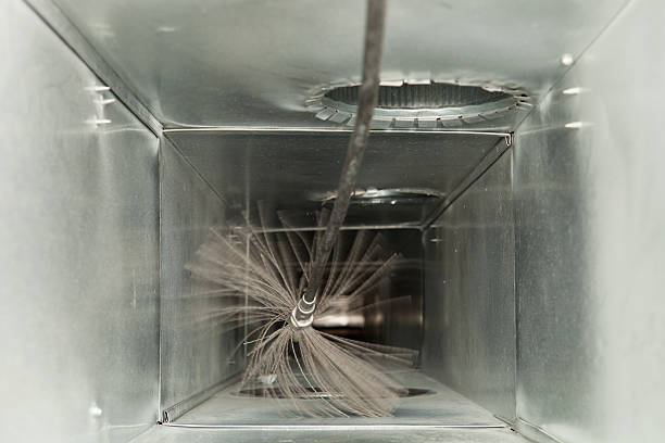 Best Dryer Vent Cleaning Services  in Paris, IL