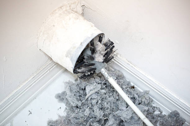 Best Home Air Vent Cleaning  in Paris, IL