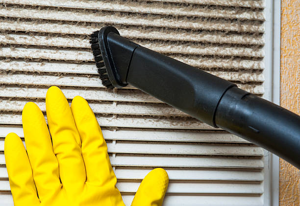 Best Dryer Vent Cleaning Services  in Paris, IL